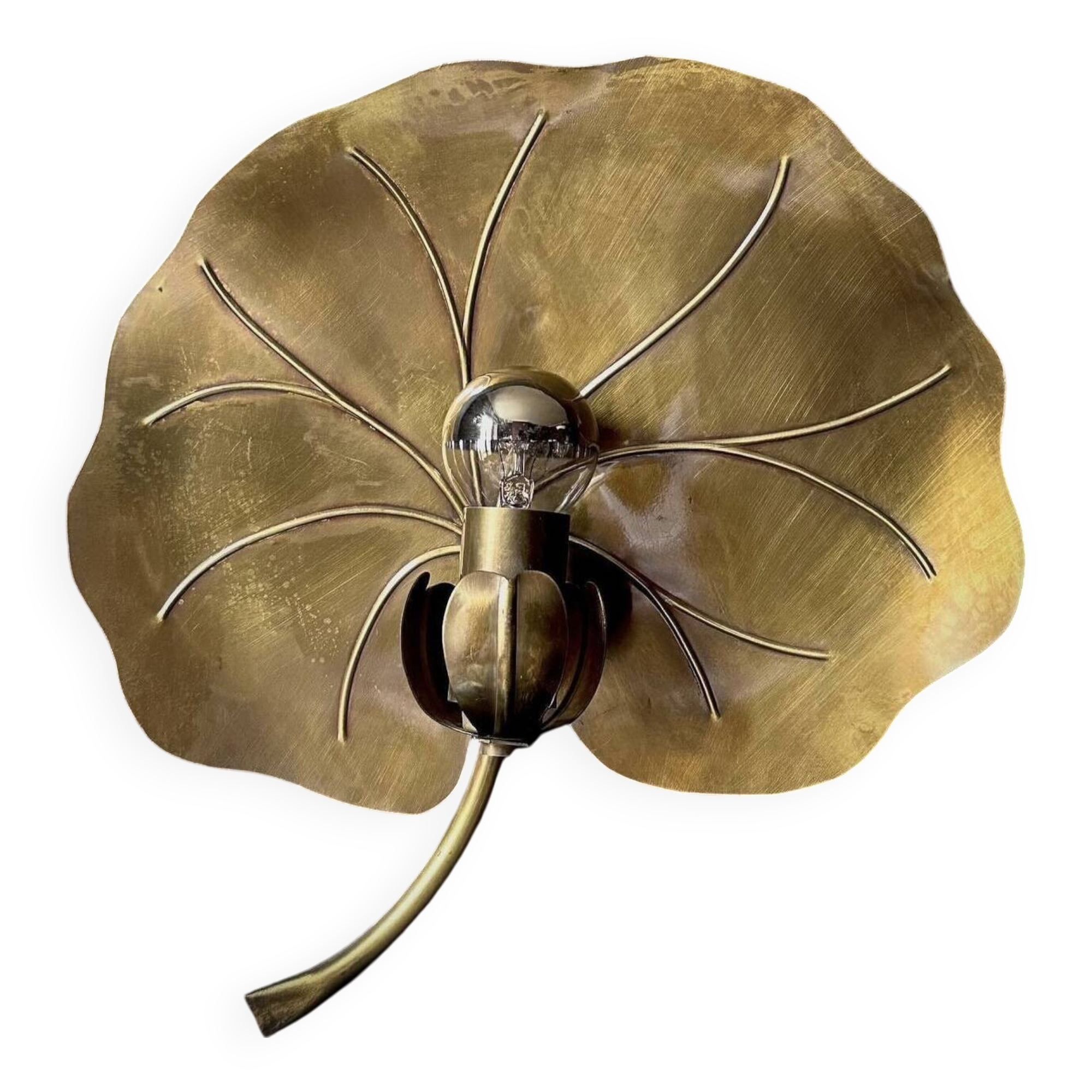 Water lily wall light