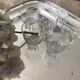 Lot de 5 petits verres vintage
