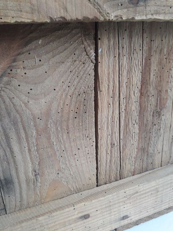 Transport case L58xD30,5xH34cm wood storage