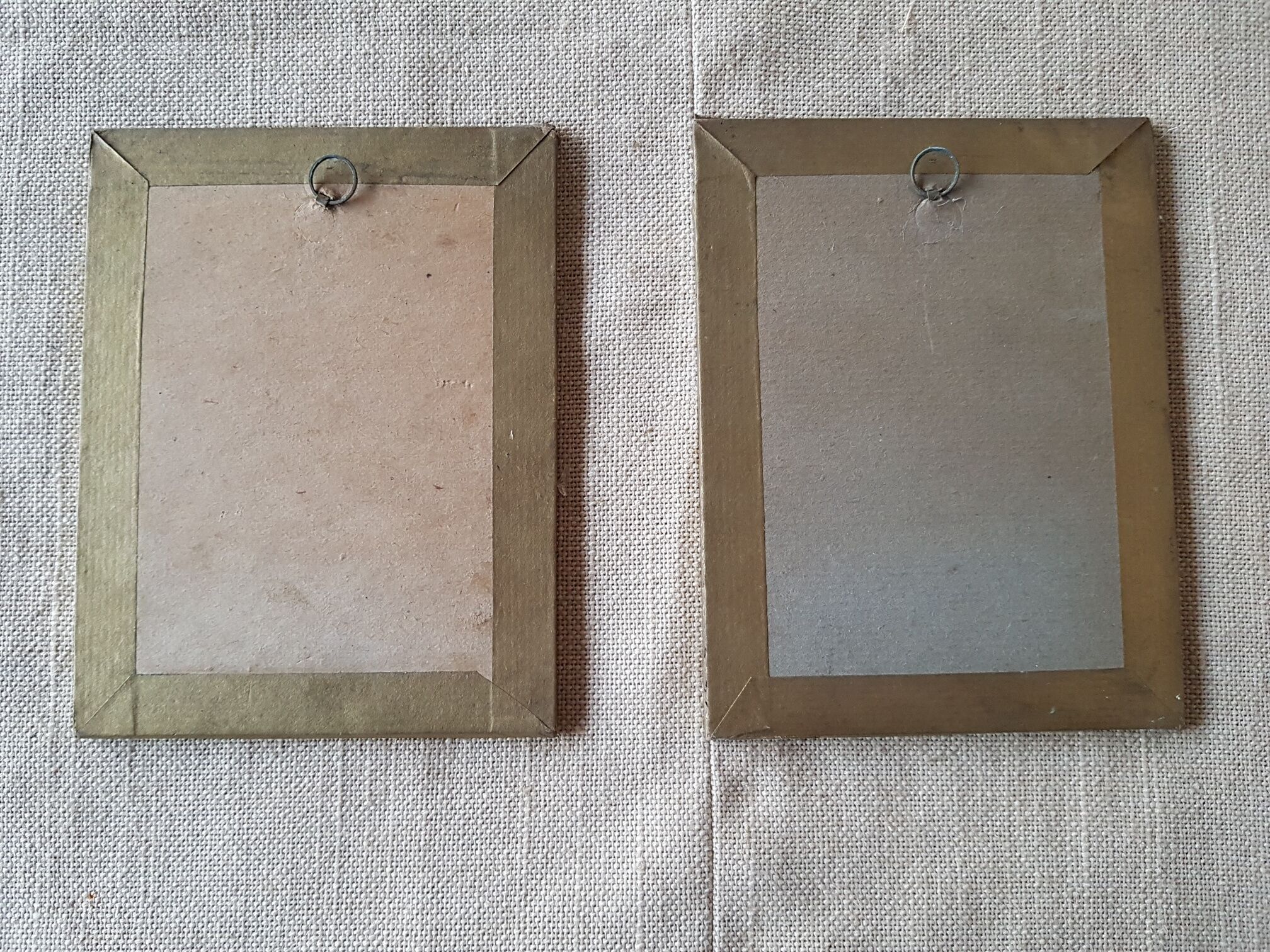 Pair of frames botanical board