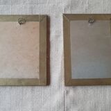 Pair of frames botanical board