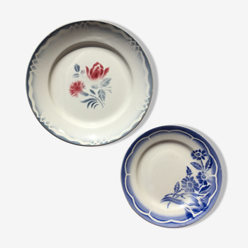 Set of 2 flowered plates