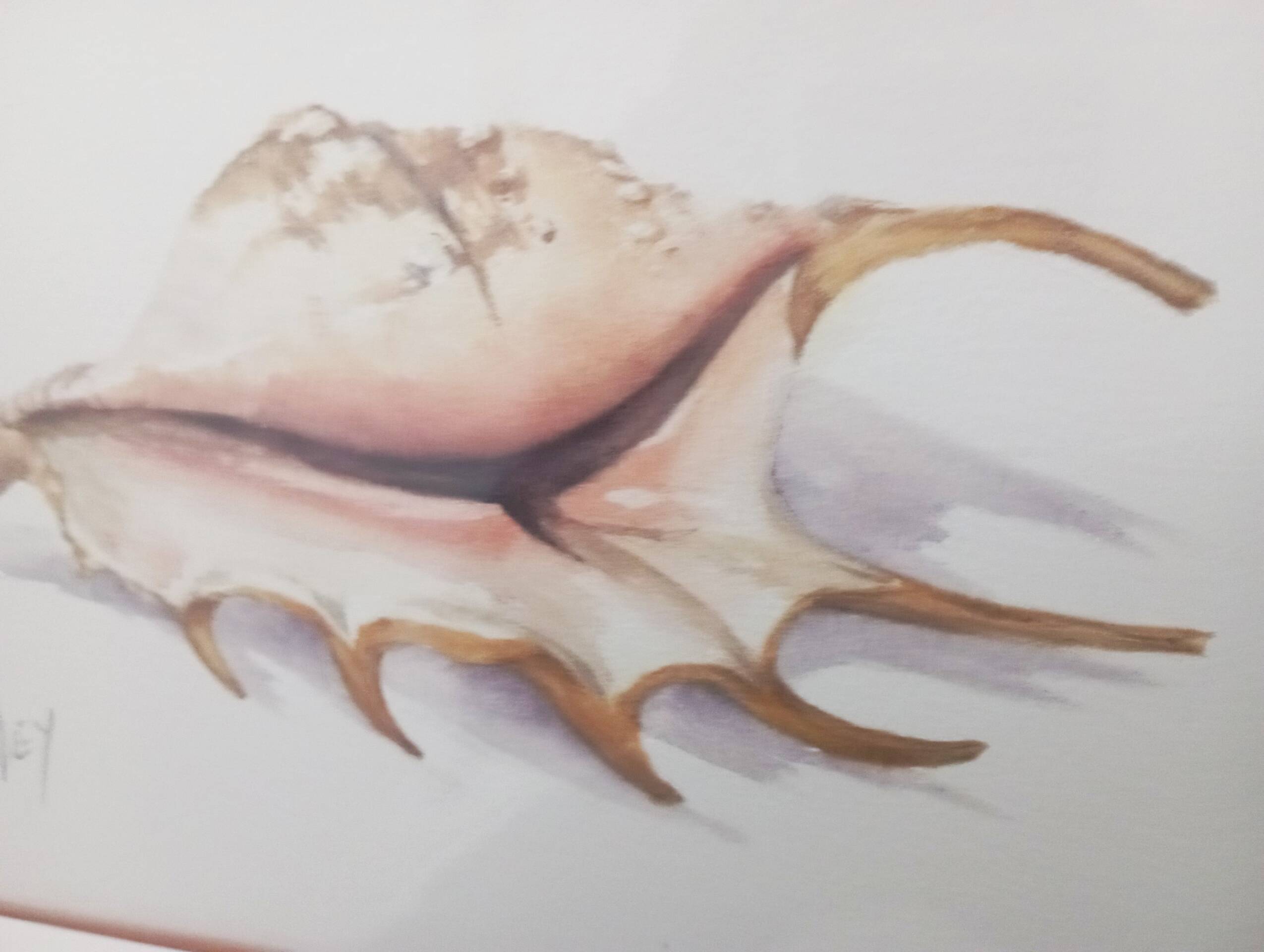 Watercolor signed Romey