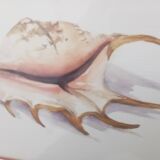 Watercolor signed Romey