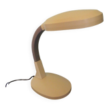Tilting desk lamp