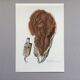 Polypore Mushroom Botanical Illustration. Vintage Print from the 60s.