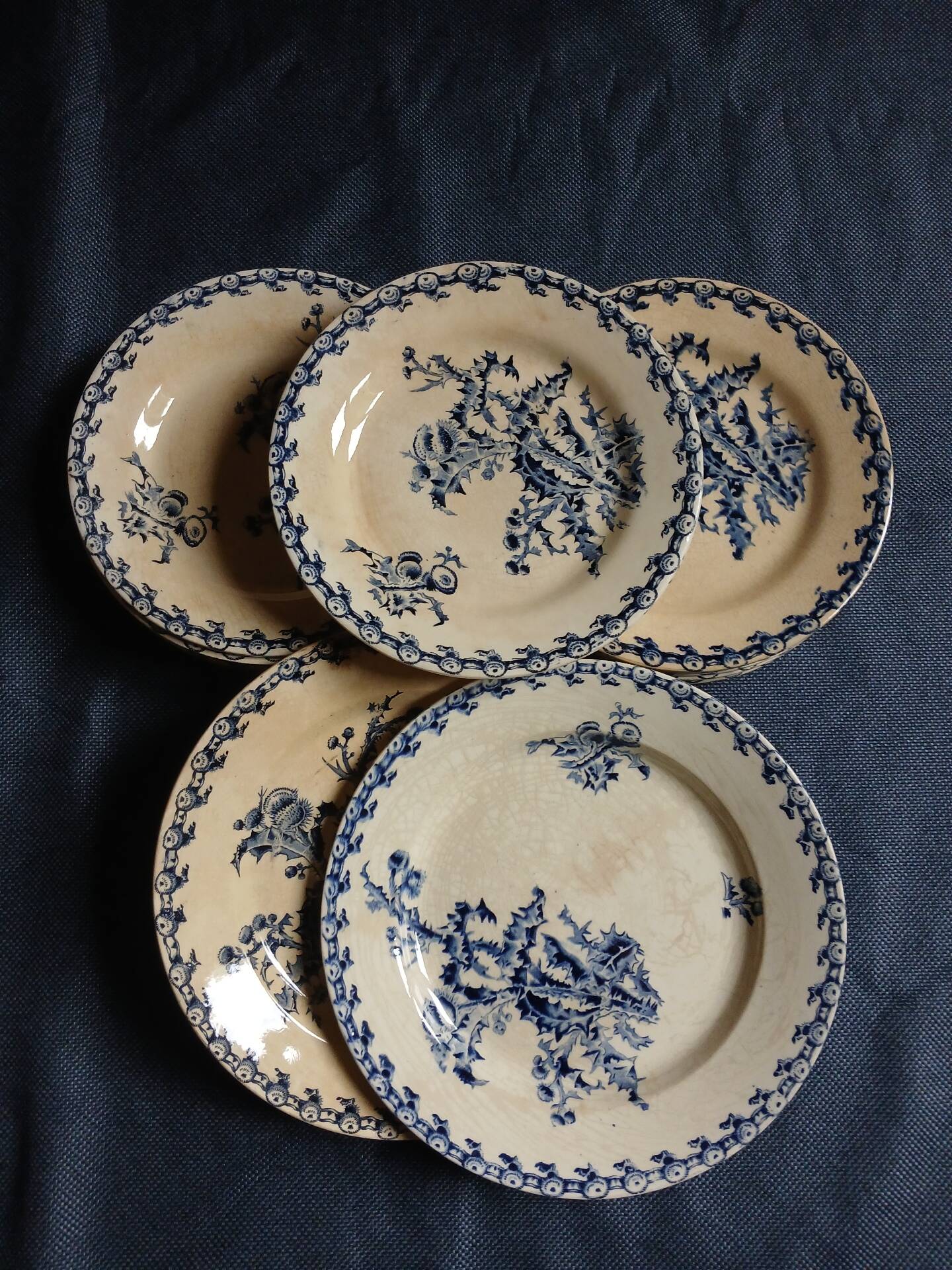 14 dinner plates + 2 "Chardons" dishes from Gien