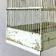 Cage à oiseaux