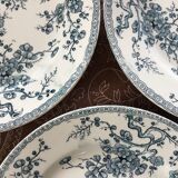 16 Gien plates