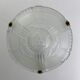 Hanging chandelier glass cacker preseated floral decoration art deco Artistar style