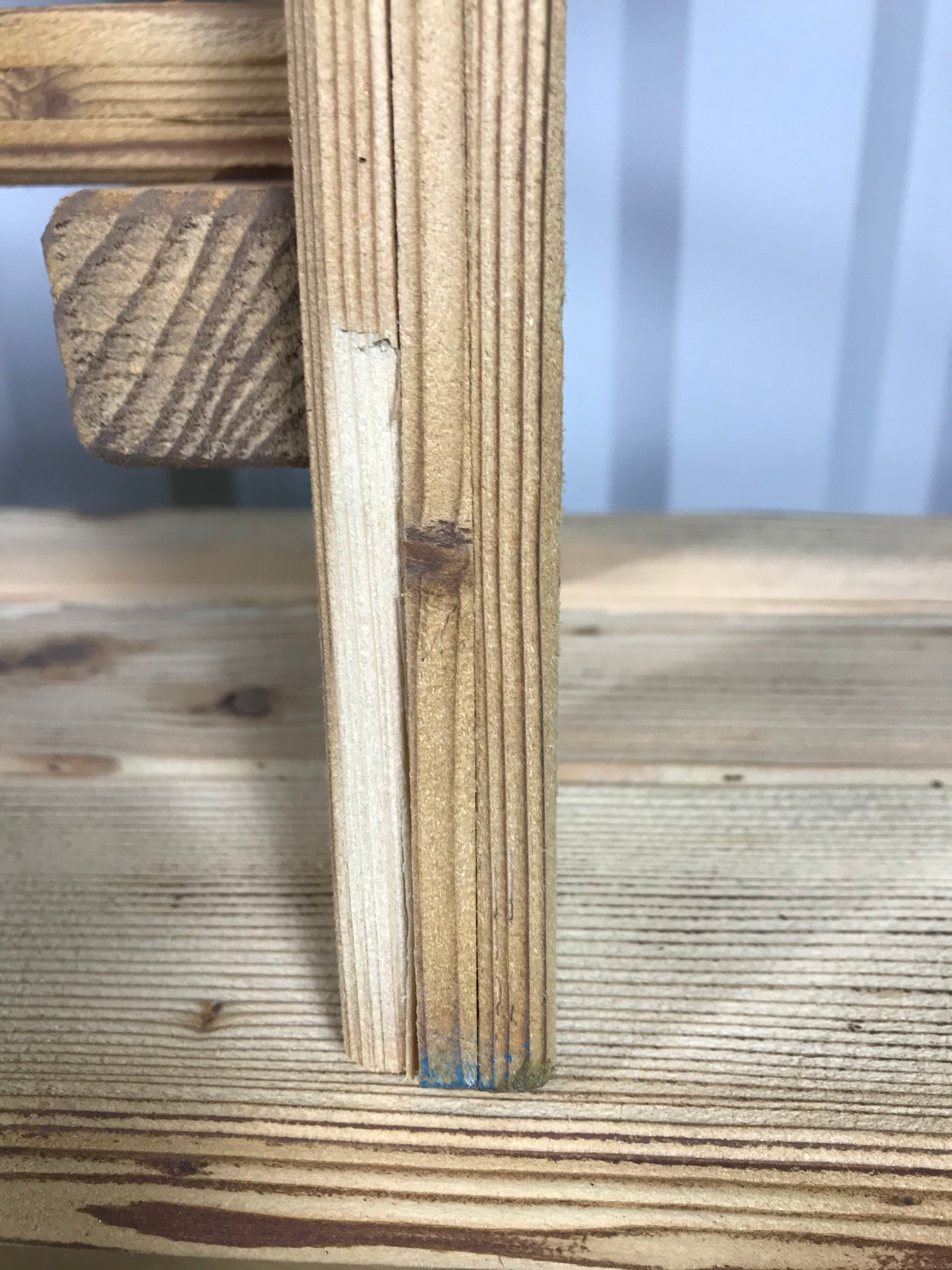 Pair of benches in erased aero fir