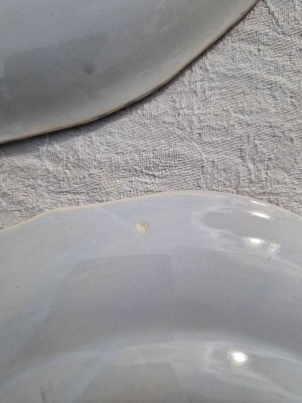 Lot de 9 assiettes plates saint Amand decor poissons