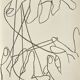 Françoise gilot pages d'amour iv lithographie 1951