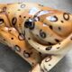 XL Italian ceramic leopard sculpture statue 1970