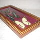 3 butterflies naturalized madagascar under frame wood & glass