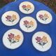 6 flat plates E. Charbonnier, Salins, Terre de Fer, countryside model, made in France, vintage