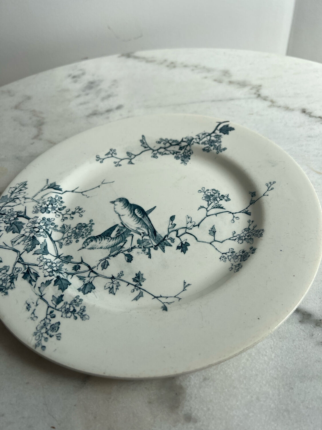 Luneville and KG Fauvette dinner plate