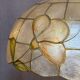 Capiz shell and brass pendant light