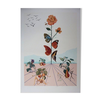 Salvador dali : flordali - la rose papillon, lithographie originale signée