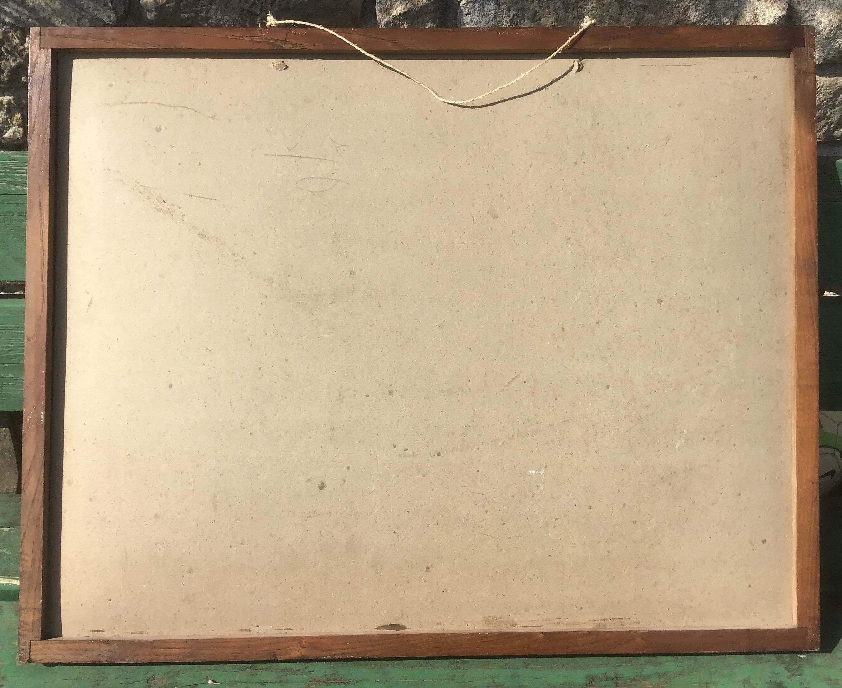 Bouasse-Lebel educational board at the end of the 19th Natural History Insects