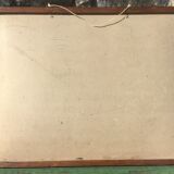 Bouasse-Lebel educational board at the end of the 19th Natural History Insects