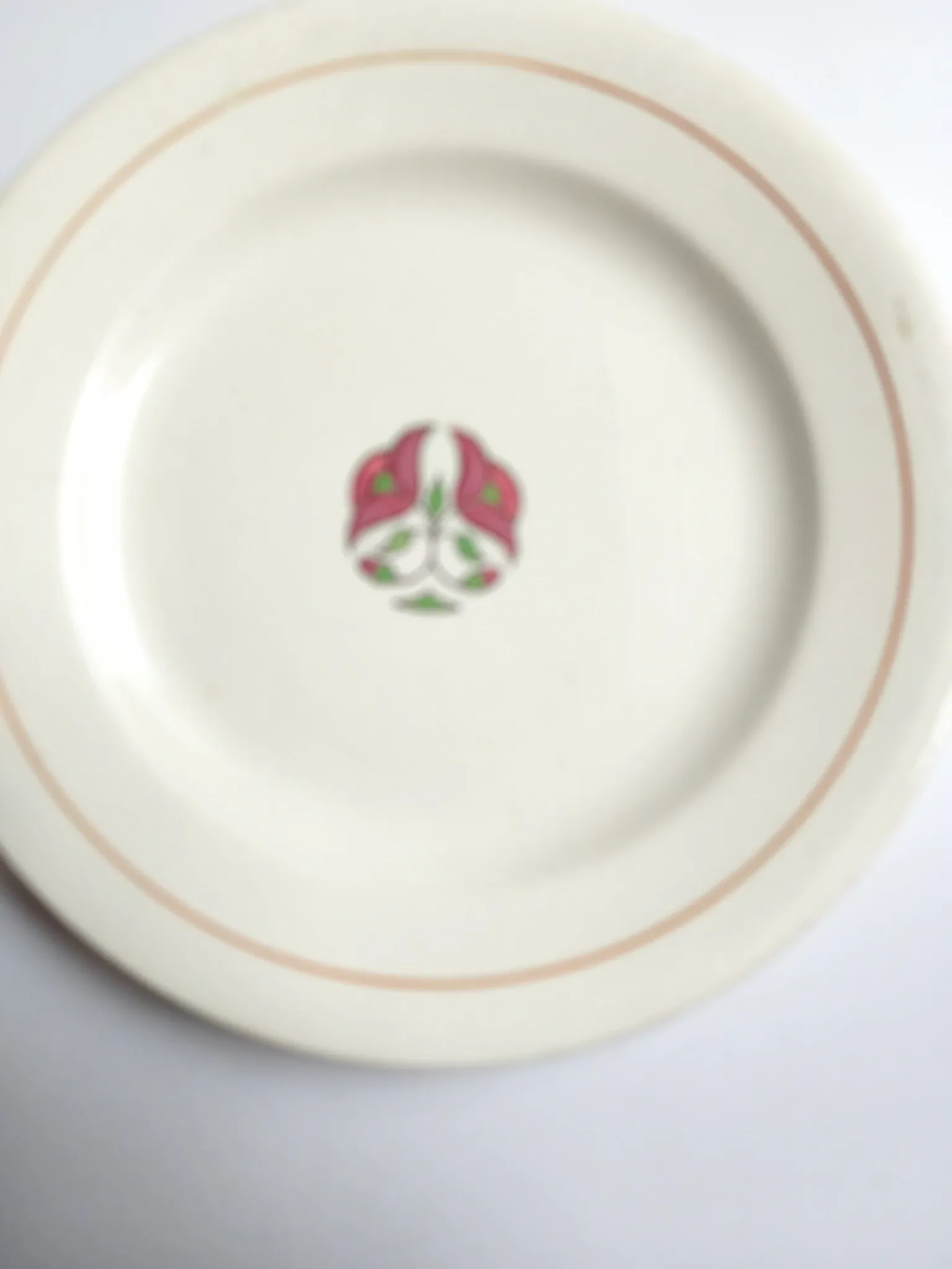 Iron earth plate Salins model without worry old cream flowers