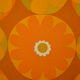 Corolles orange lampshade 1970