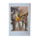 Salvador Dali: Horses - The Trojan Horse, signed lithograph