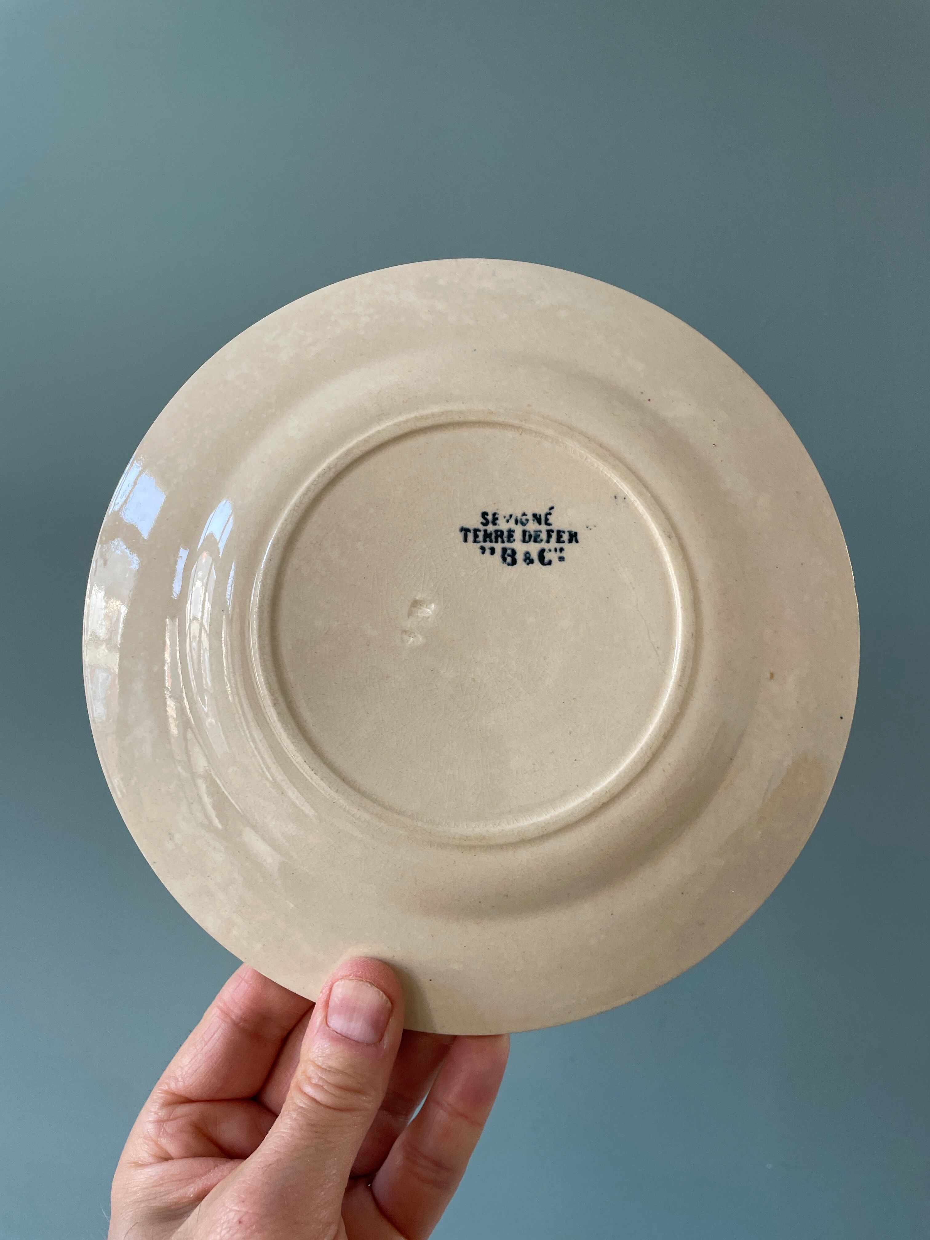 Series of 12 mismatched Terre de Fer dessert plates