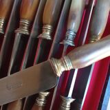 Set of 22 horn handle knives