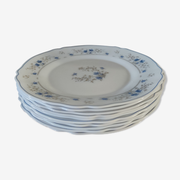 Série 10 assiettes plates Arcopal, opaline blanche à fleurs bleues