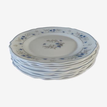 Series 10 flat plates Arcopal, white opaline with blue flowers