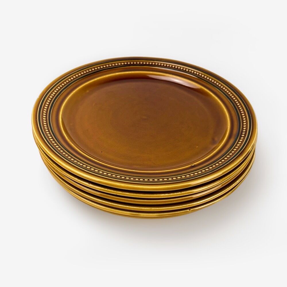 6 flat plates earthenware of Saint Amand model Toulouse