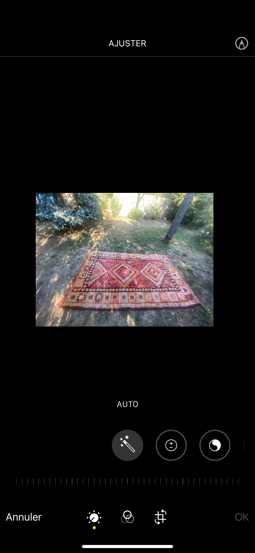 Vintage Berber wool carpets