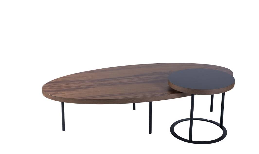Friandise Branche-Chucri coffee table and Rami Boushdid for Kann Design