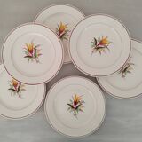 Old Earthenware Dinner Plates KG Lunéville Vintage Tulip Decor