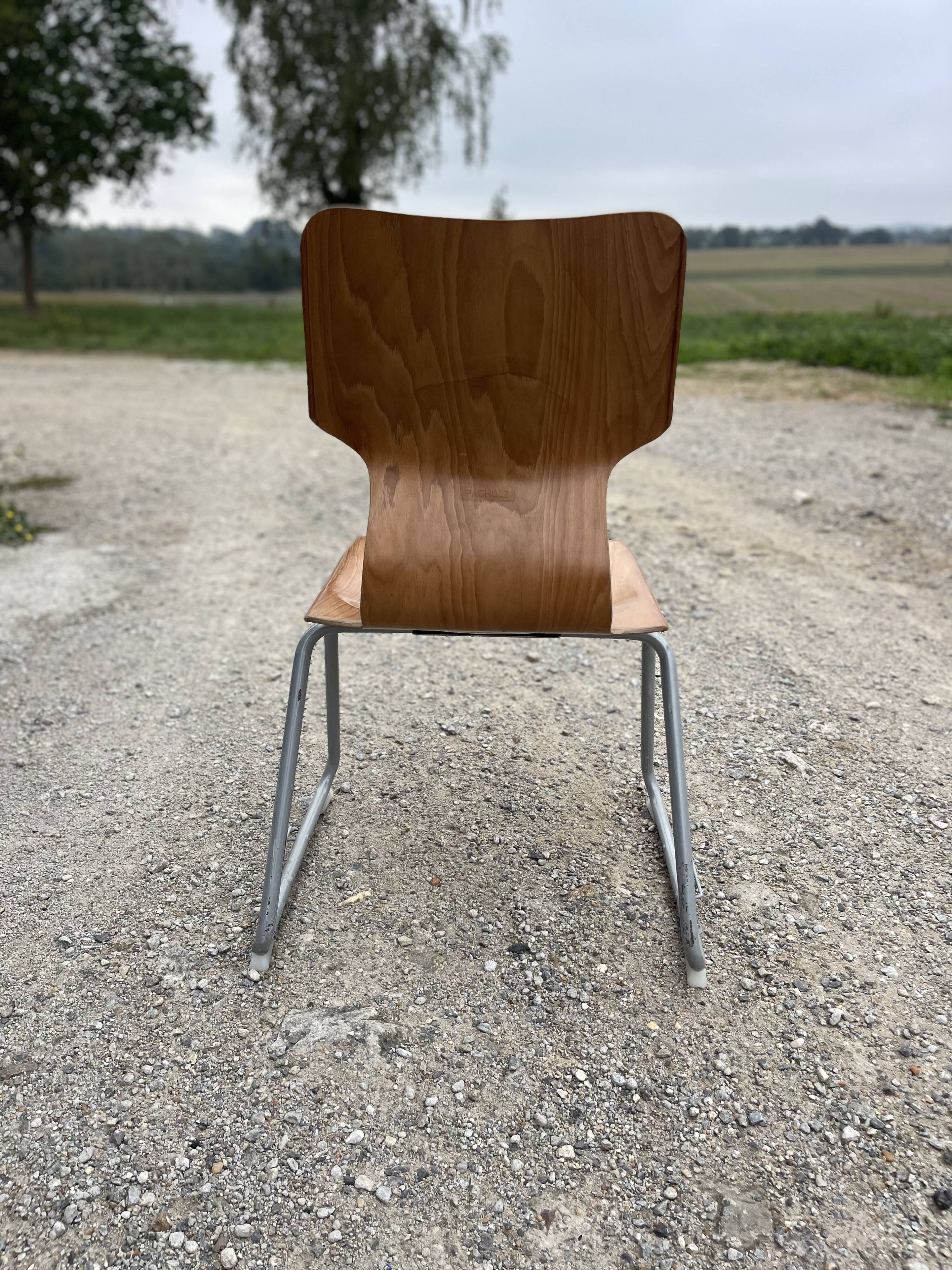 Chairs pagholz base sled light wood