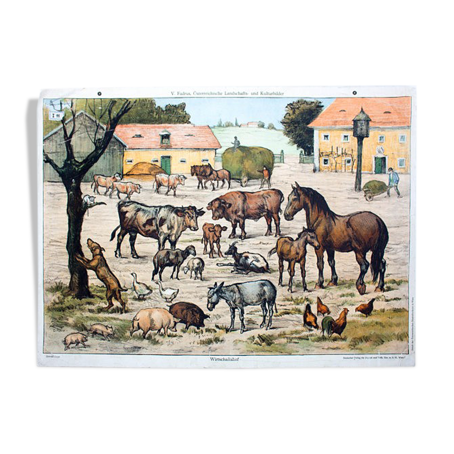 Animal Poster Grid, Fadrus, on a Farm, 1952