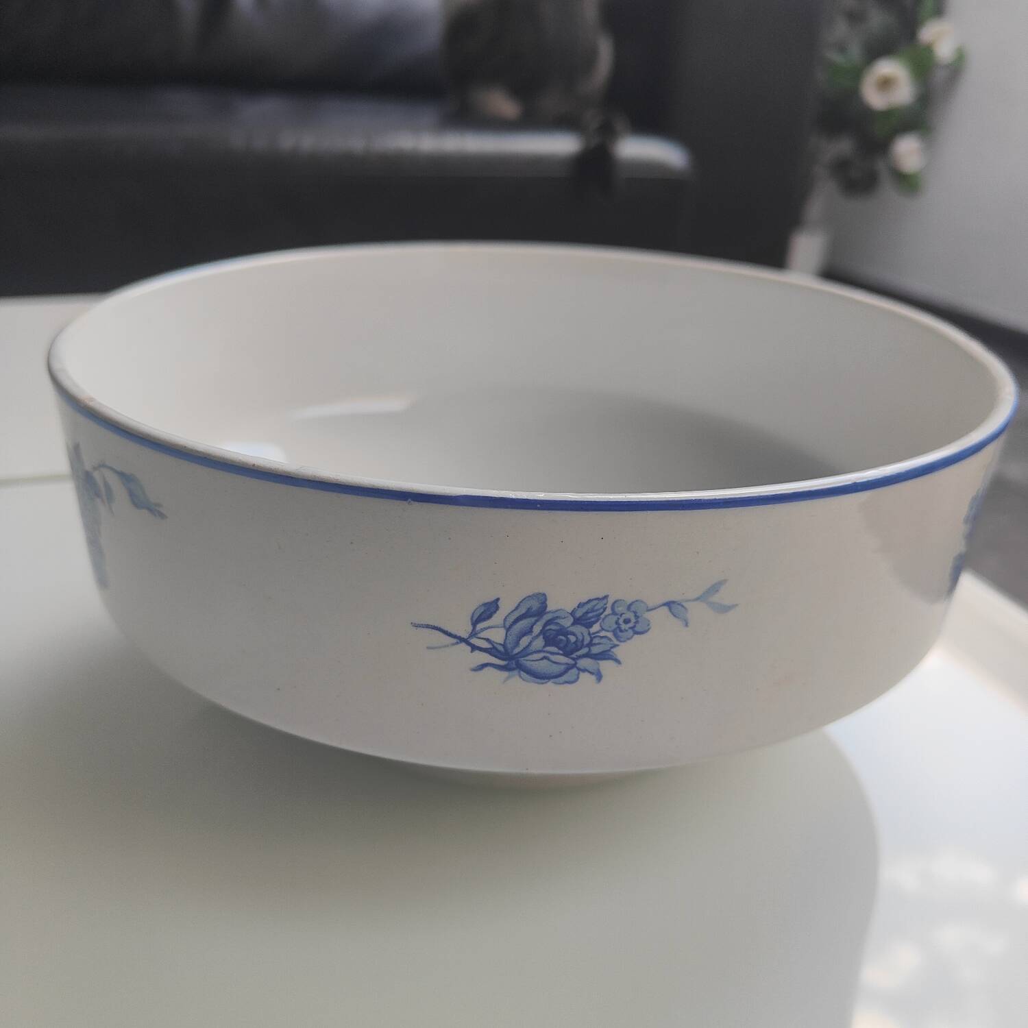 Iron earth salad bowl