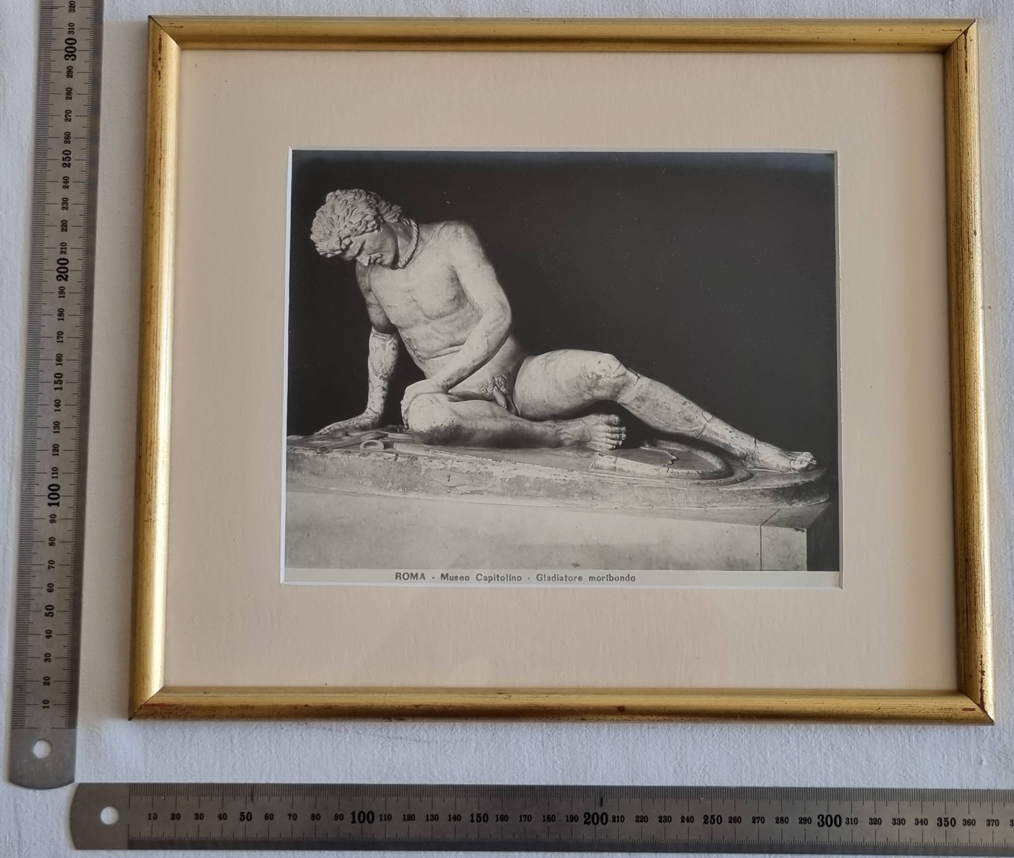 Photograph of an injured gladiator, Capitoline Museum, Rome, early 20th century, 37x30 cm.