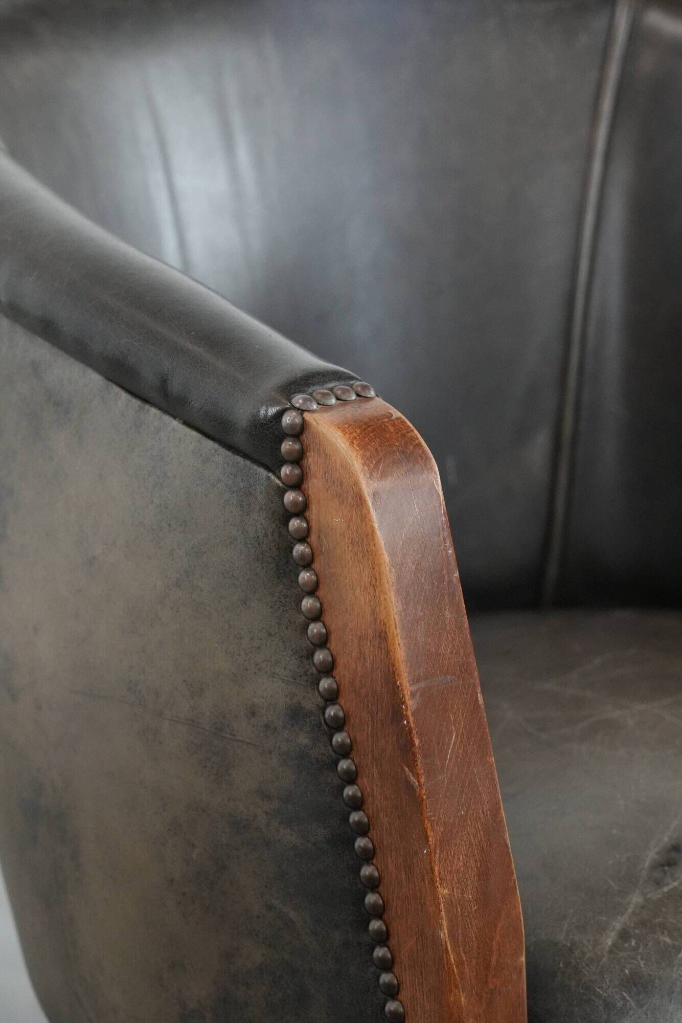 Amazing cow leather and wooden tub chair / side chair