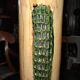 Large glazed stoneware vase signed "Haut 49"