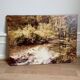 Large old photo, 70s, forest landscape - laminated