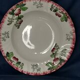 4 flat plates "Montmorency"Longwy cherries