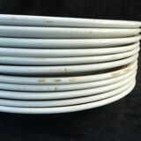 11 flat plates badonviller red no digoin