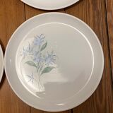 Set of 5 flat plates Sovirel