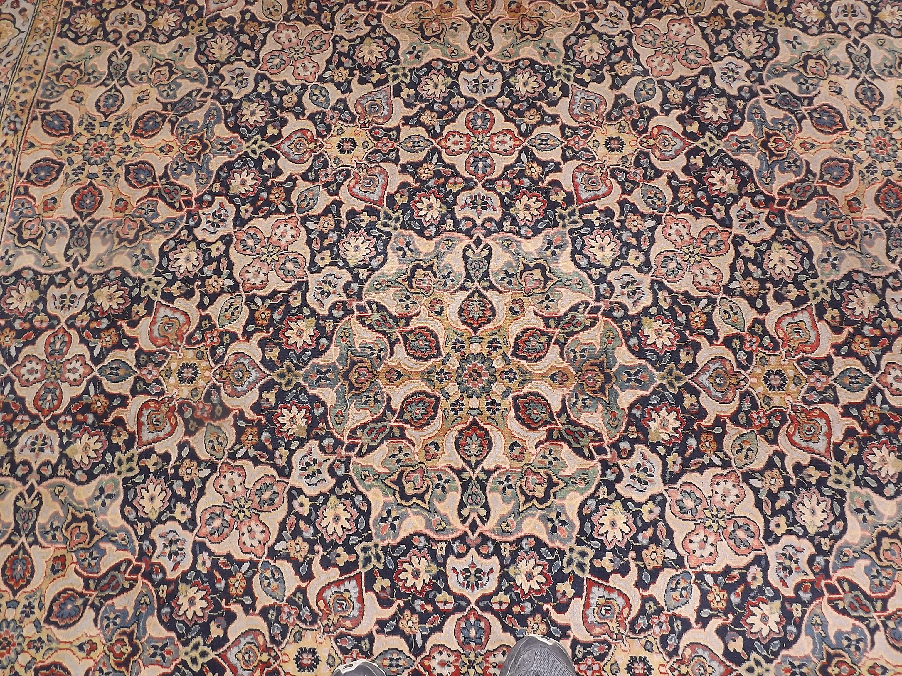 Woolmark rug pure Virgin wool 236 by 330