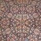 Tapis Woolmark pure laine vierge 236x330cm