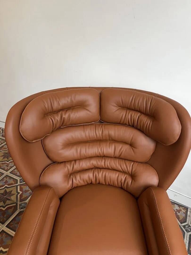 Elda lounge fauteuil– Joe Colombo, Longhi