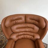 Elda lounge fauteuil– Joe Colombo, Longhi